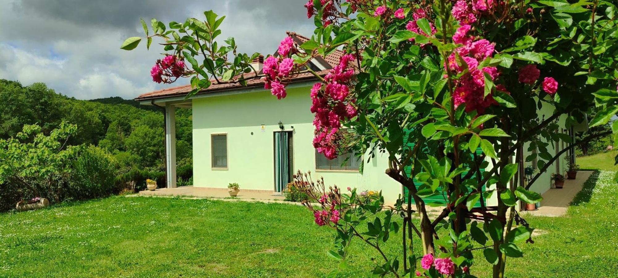 Appartement Pia'S House Garden à Campobasso Extérieur photo